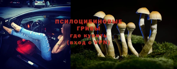 гидра Волосово