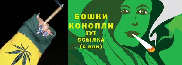 молекула духа Волоколамск