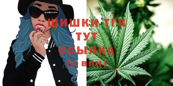 молекула духа Волоколамск