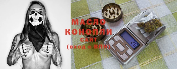 молекула духа Волоколамск