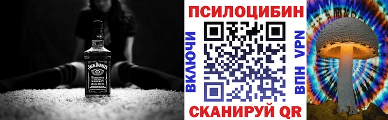 Галлюциногенные грибы мицелий  Каменногорск 
